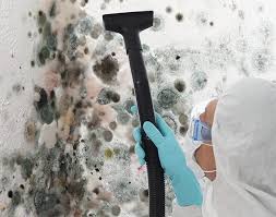 Why You Should Choose Our Mold Remediation Services in Caldwell, TX